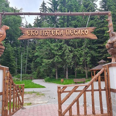 Mountain Paradise In Aparthotel Borovets Gardens Dış mekan fotoğraf