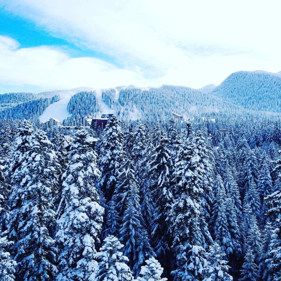 Mountain Paradise In Aparthotel Borovets Gardens Dış mekan fotoğraf