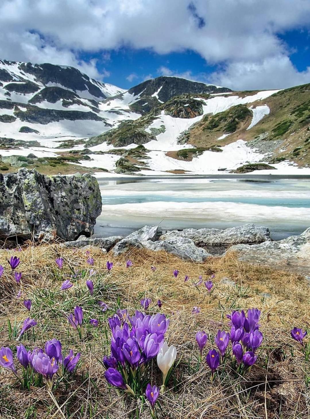 Mountain Paradise In Aparthotel Borovets Gardens Dış mekan fotoğraf